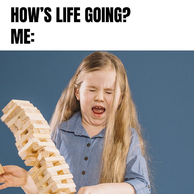 Dealing With Life Meme